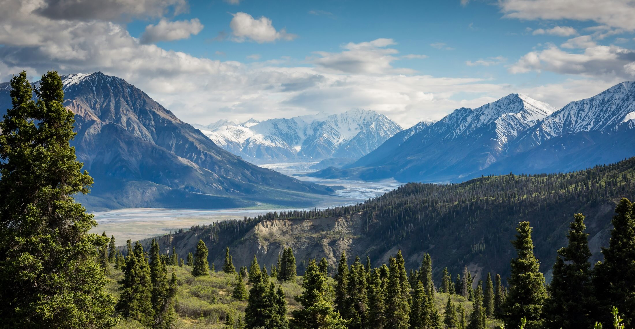 Lush green valley in Greenland featuring a winding river, coniferous trees in the foreground, and rugged snow-capped mountains in the distance under a cloudy sky.